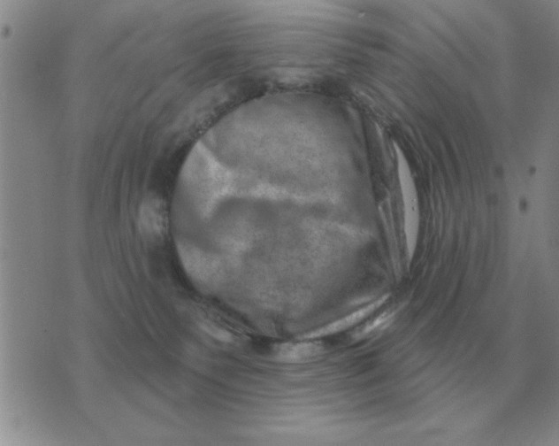 X0000074340135200609152131