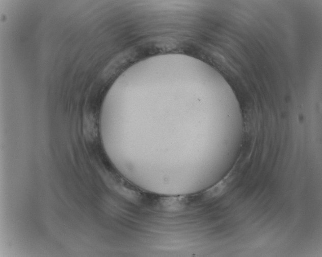 X0000074340136200609152131