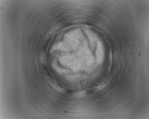 X0000074340138200609152131