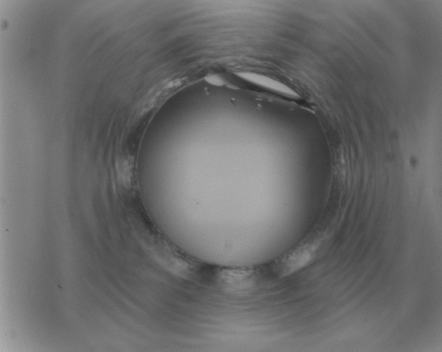 X0000074340139200609152131