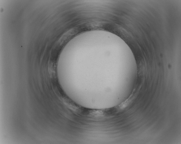 X0000074340140200609152131