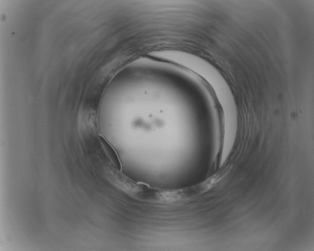 X0000074340141200609152131