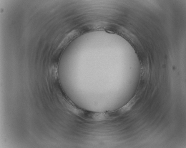 X0000074340142200609152131