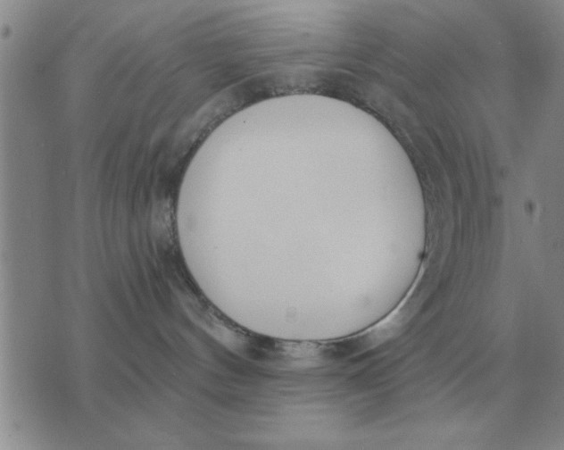 X0000074340144200609152131