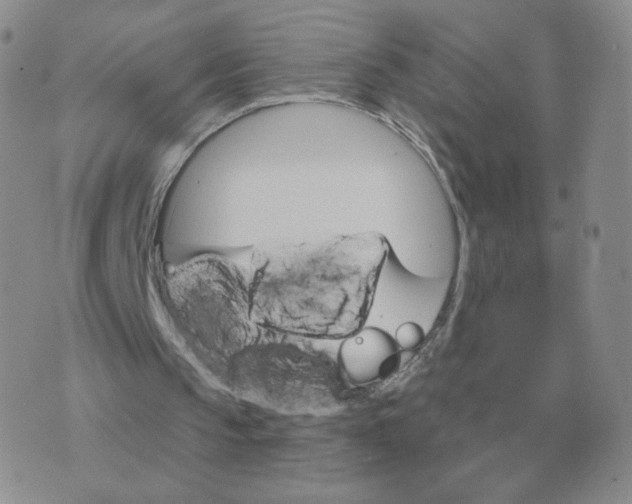 X0000074340145200609152130