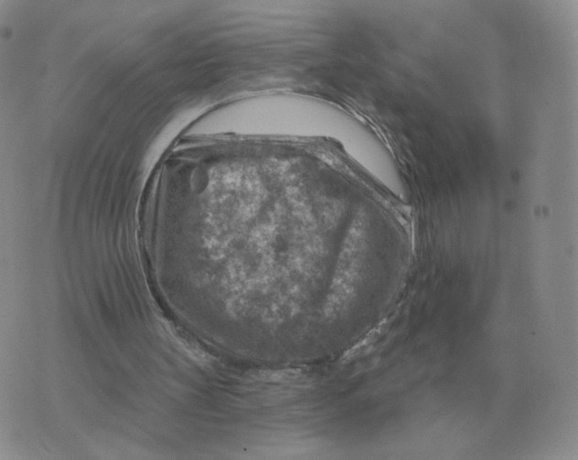 X0000074340147200609152130