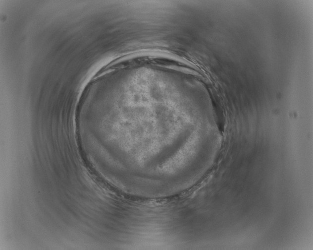 X0000074340148200609152130