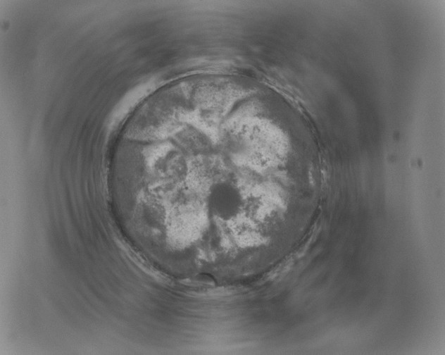 X0000074340149200609152131