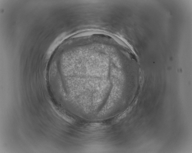 X0000074340151200609152131