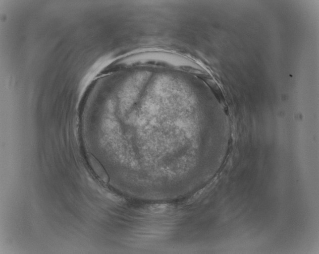 X0000074340152200609152131