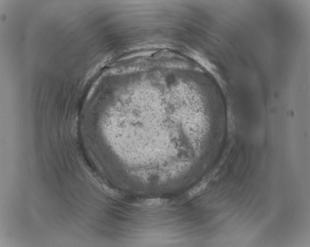 X0000074340153200609152131