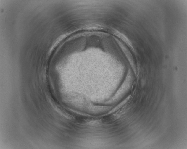 X0000074340155200609152131