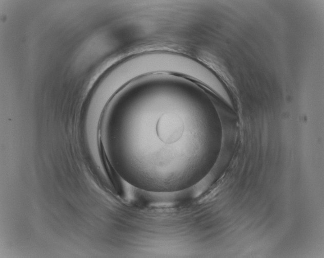 X0000074340156200609152131