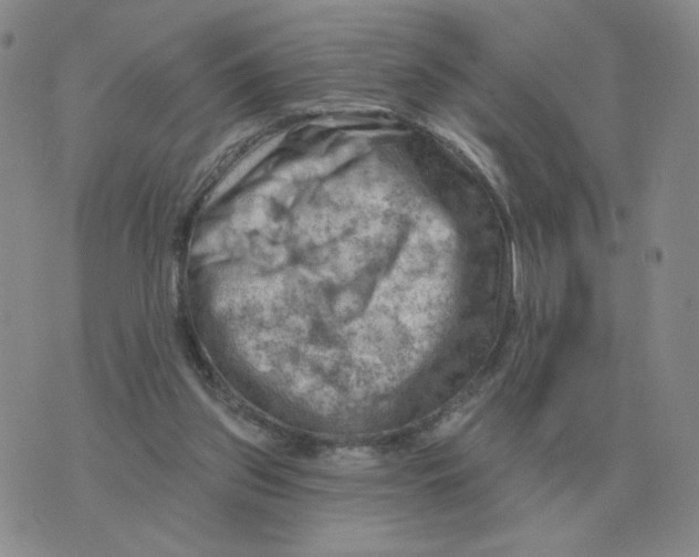 X0000074340157200609152131