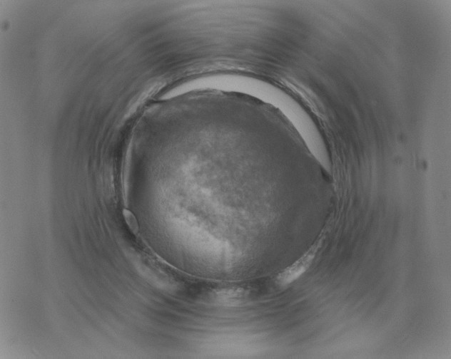 X0000074340158200609152131