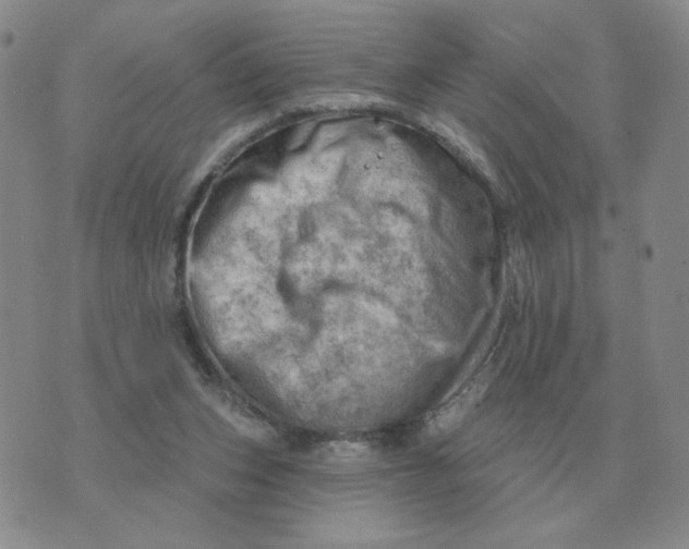 X0000074340159200609152131