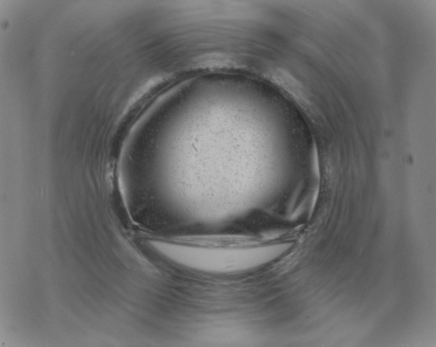 X0000074340160200609152131