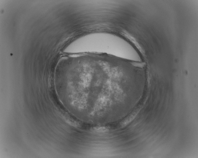 X0000074340161200609152131