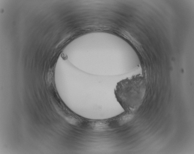 X0000074340165200609152131