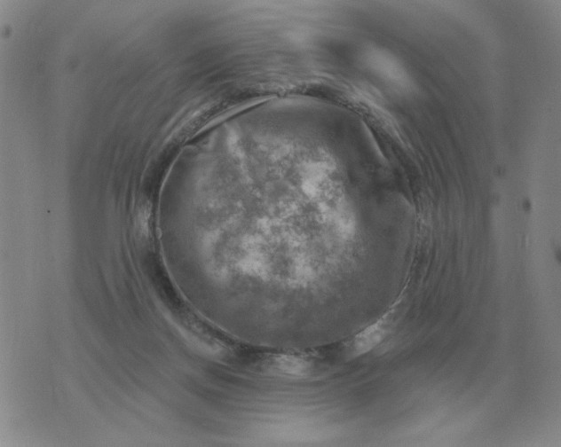 X0000074340166200609152131