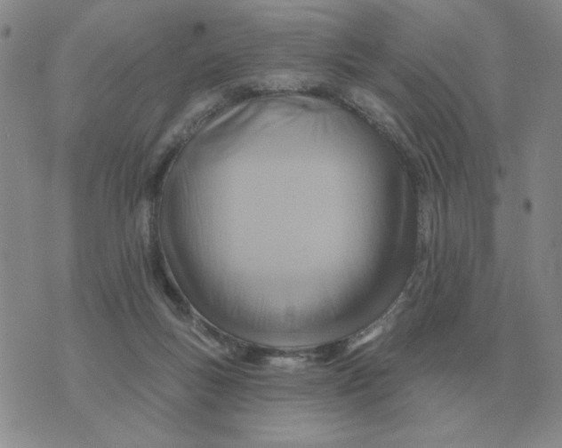 X0000074340167200609152131