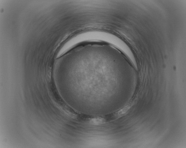 X0000074340168200609152131