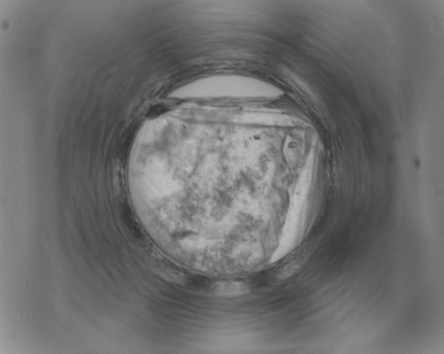 X0000074340169200609152131