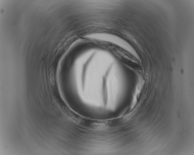 X0000074340170200609152131