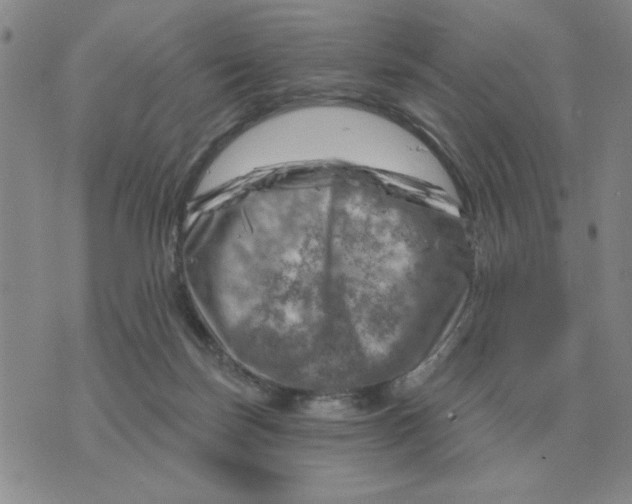 X0000074340171200609152131