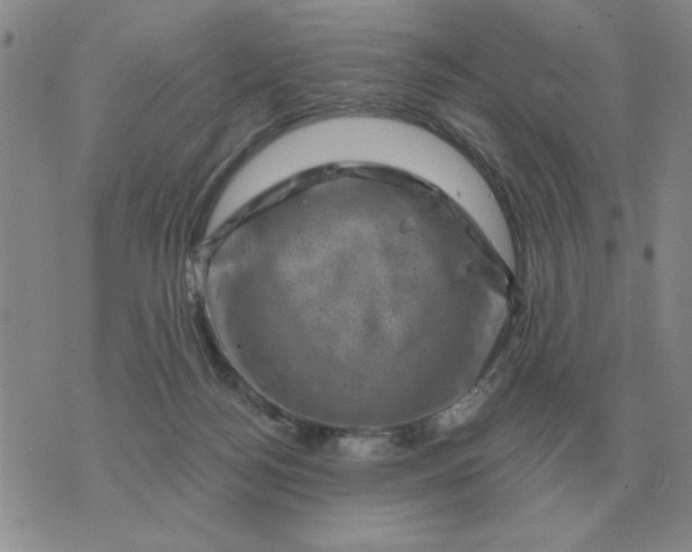 X0000074340172200609152131