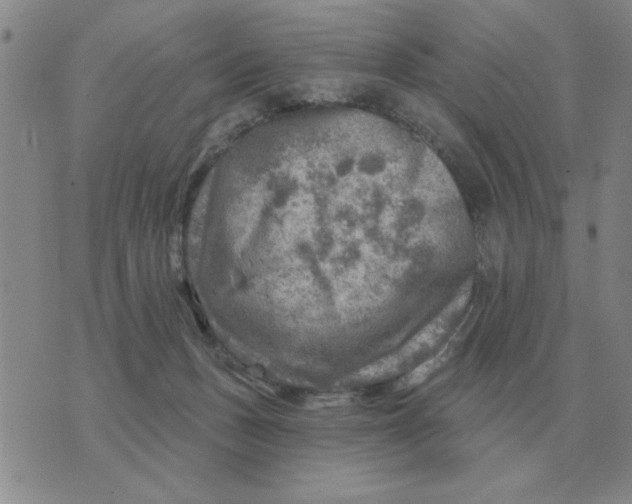 X0000074340175200609152131