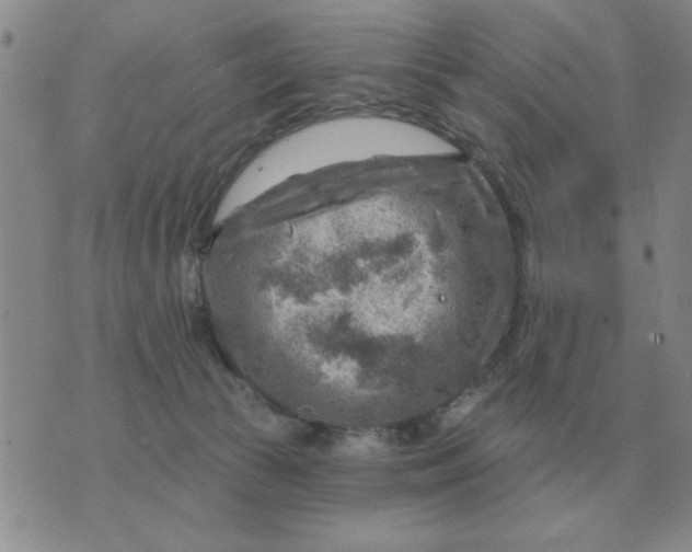 X0000074340177200609152131