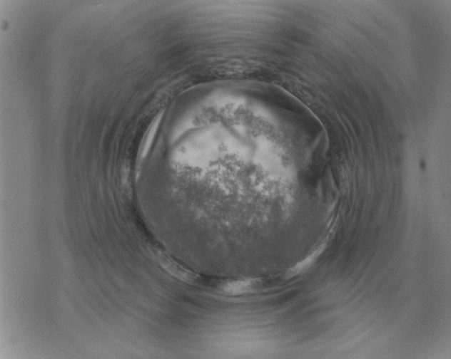 X0000074340178200609152131