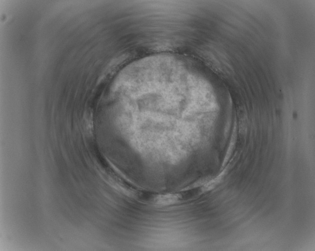 X0000074340179200609152131