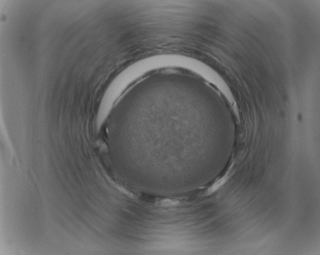 X0000074340180200609152131