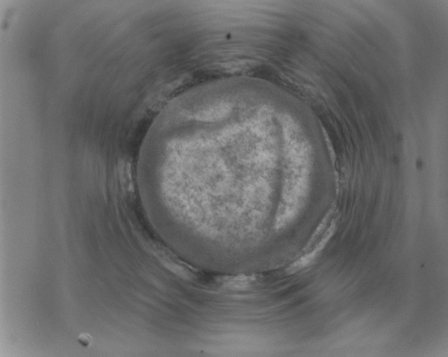 X0000074340182200609152131