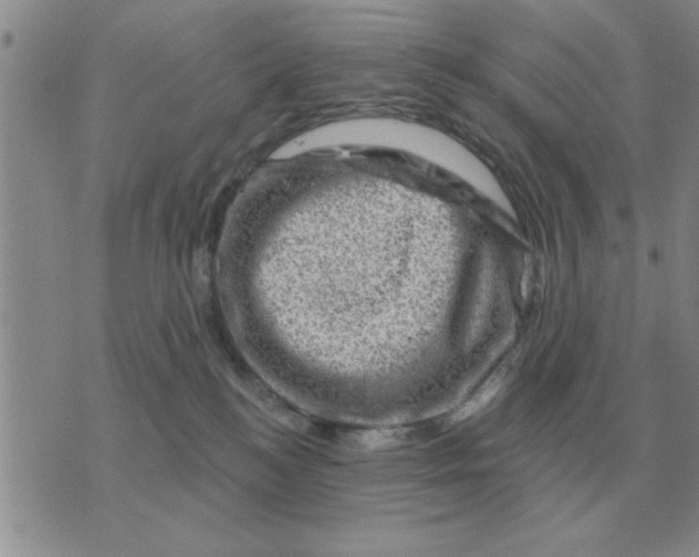 X0000074340184200609152131