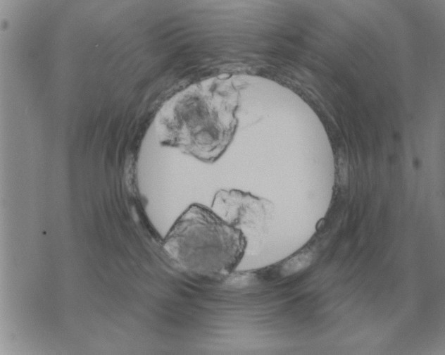 X0000074340185200609152131