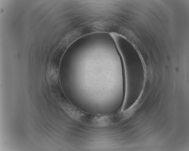 X0000074340186200609152131