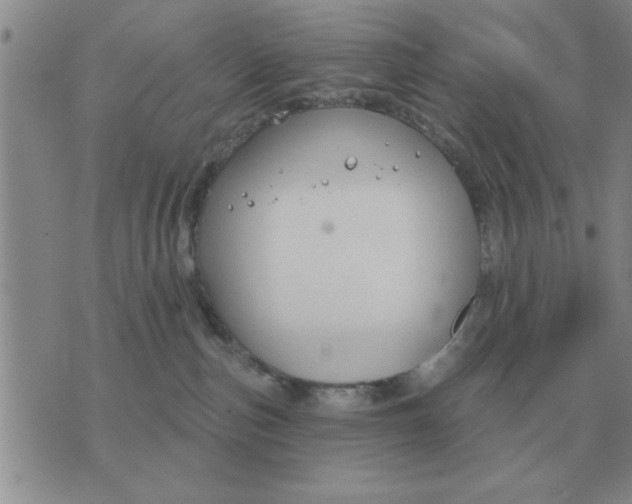 X0000074340187200609152131