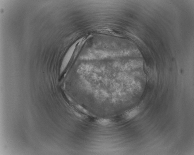 X0000074340189200609152131