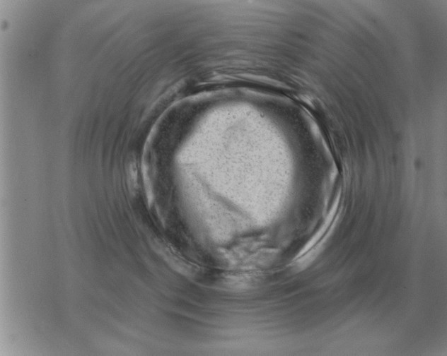 X0000074340190200609152131