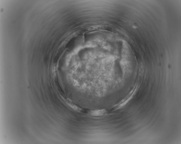 X0000074340191200609152131