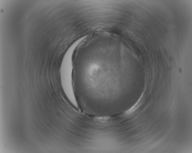 X0000074340192200609152131