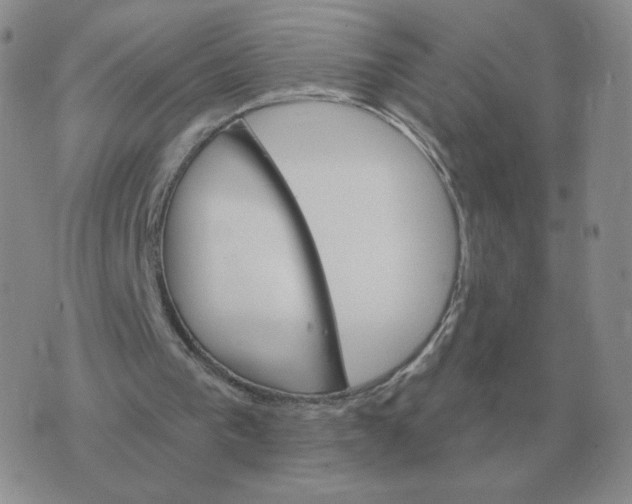 X0000074340193200609152130