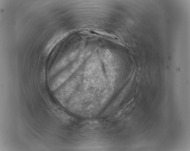 X0000074340194200609152130