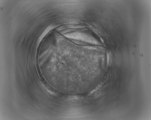 X0000074340195200609152130