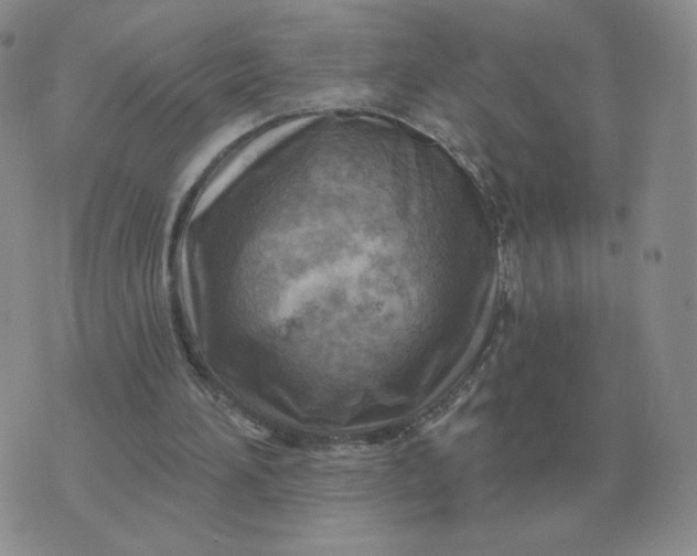 X0000074340196200609152130