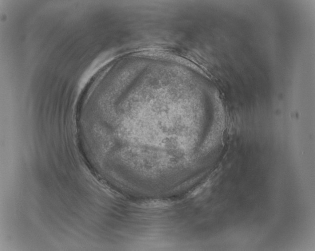 X0000074340198200609152130