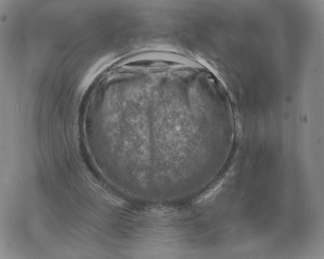 X0000074340199200609152130